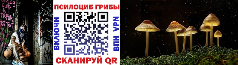 даркнет сайт  Оренбург  Галлюциногенные грибы мухоморы 