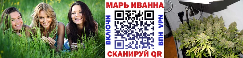 цены Оренбург Каннабис семена